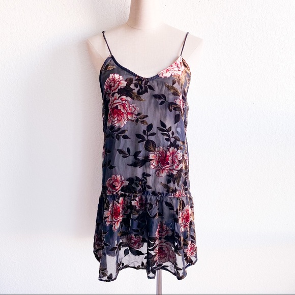 American Eagle Outfitters Other - AEO Mesh Velvet Floral Slip Dress